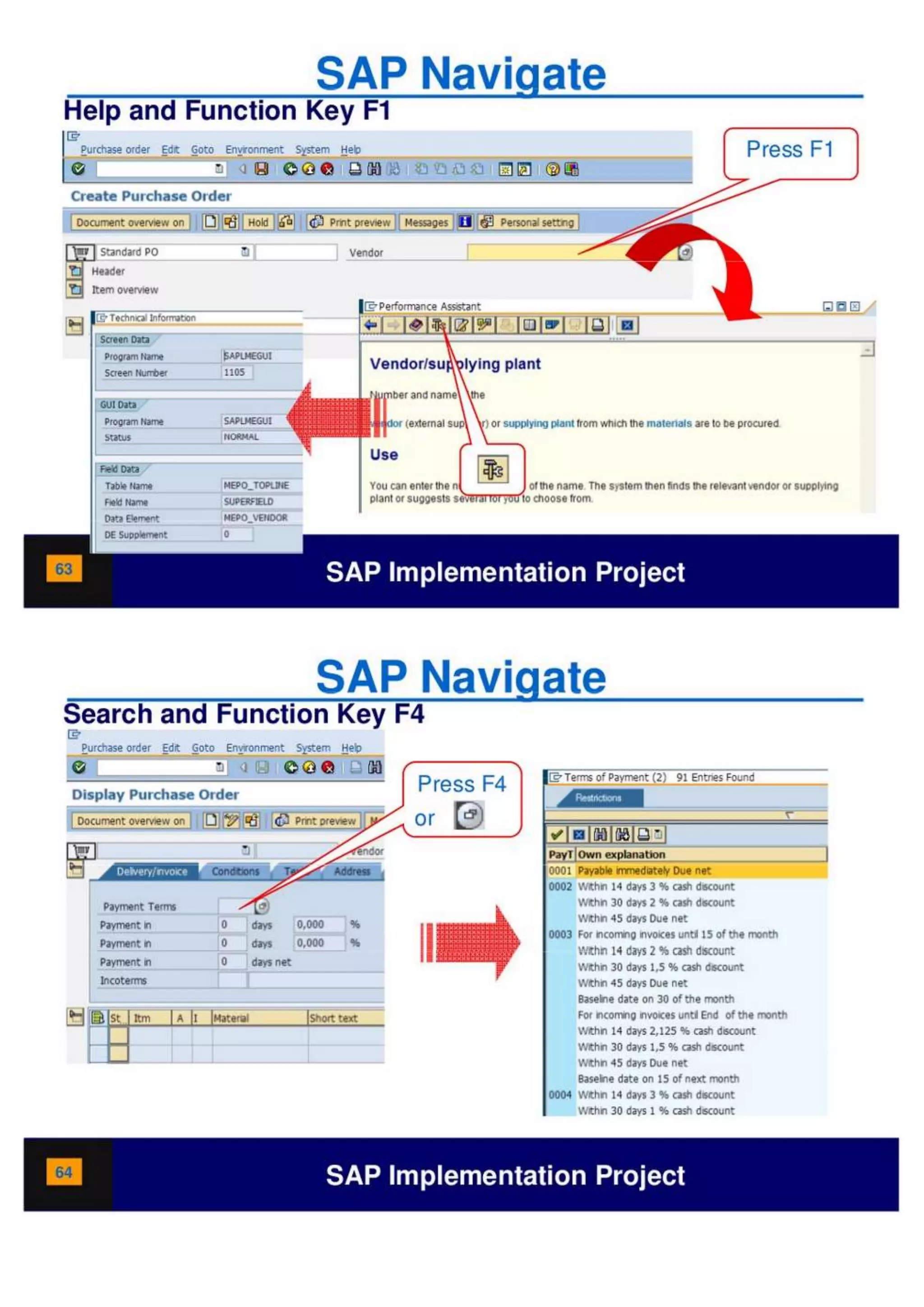 SAP Overview pdf