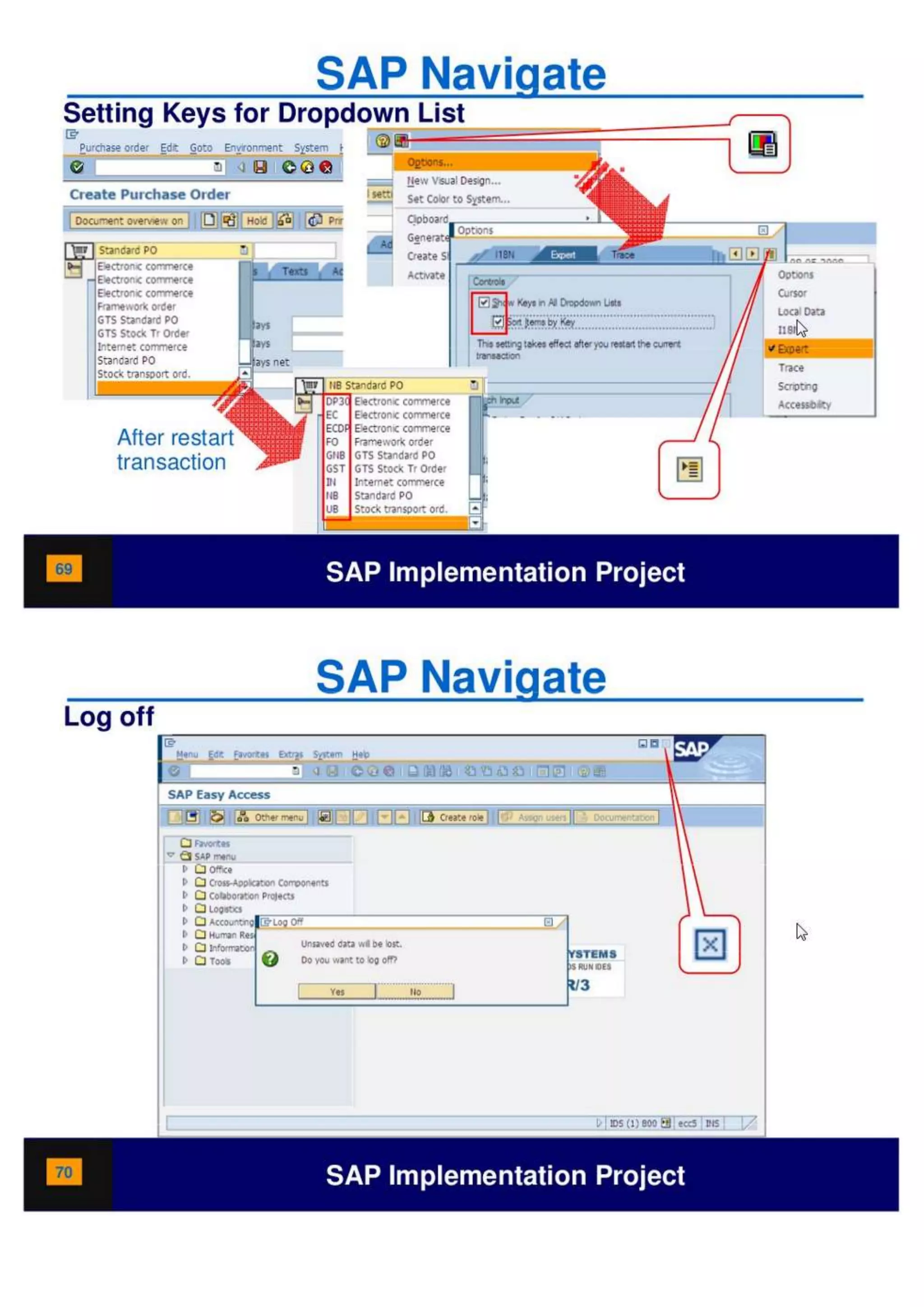 SAP Overview pdf