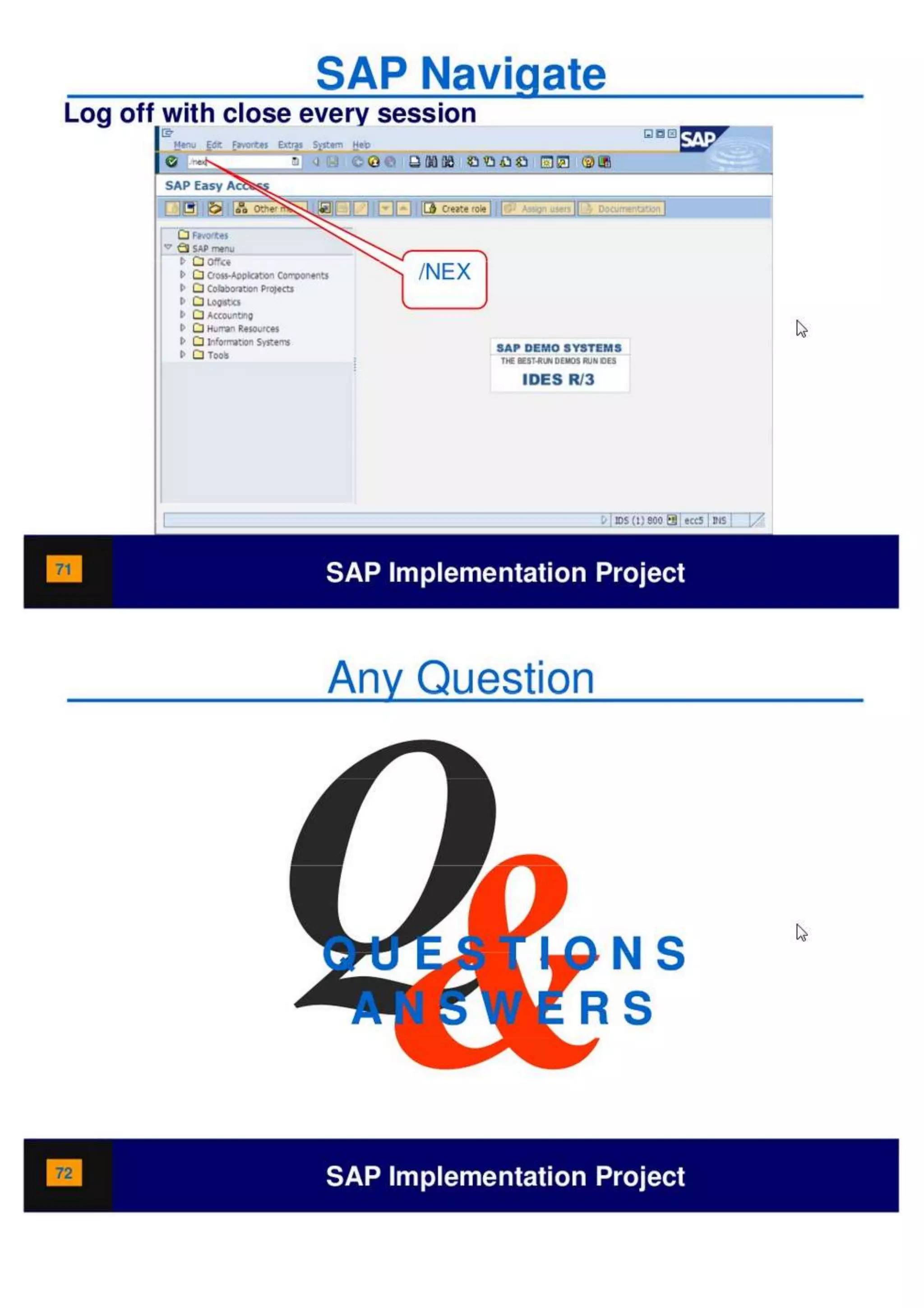 SAP Overview pdf