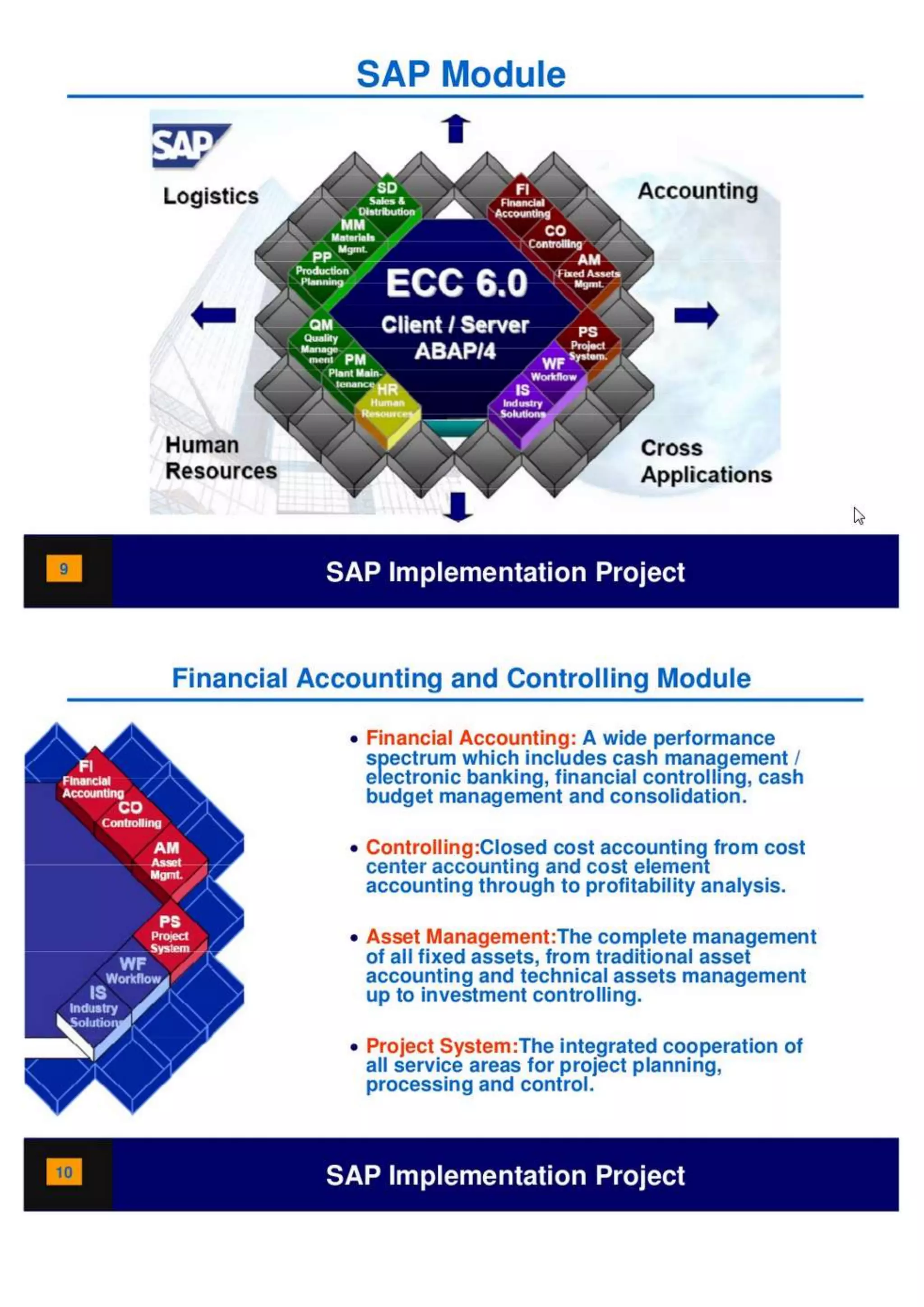 SAP Overview pdf