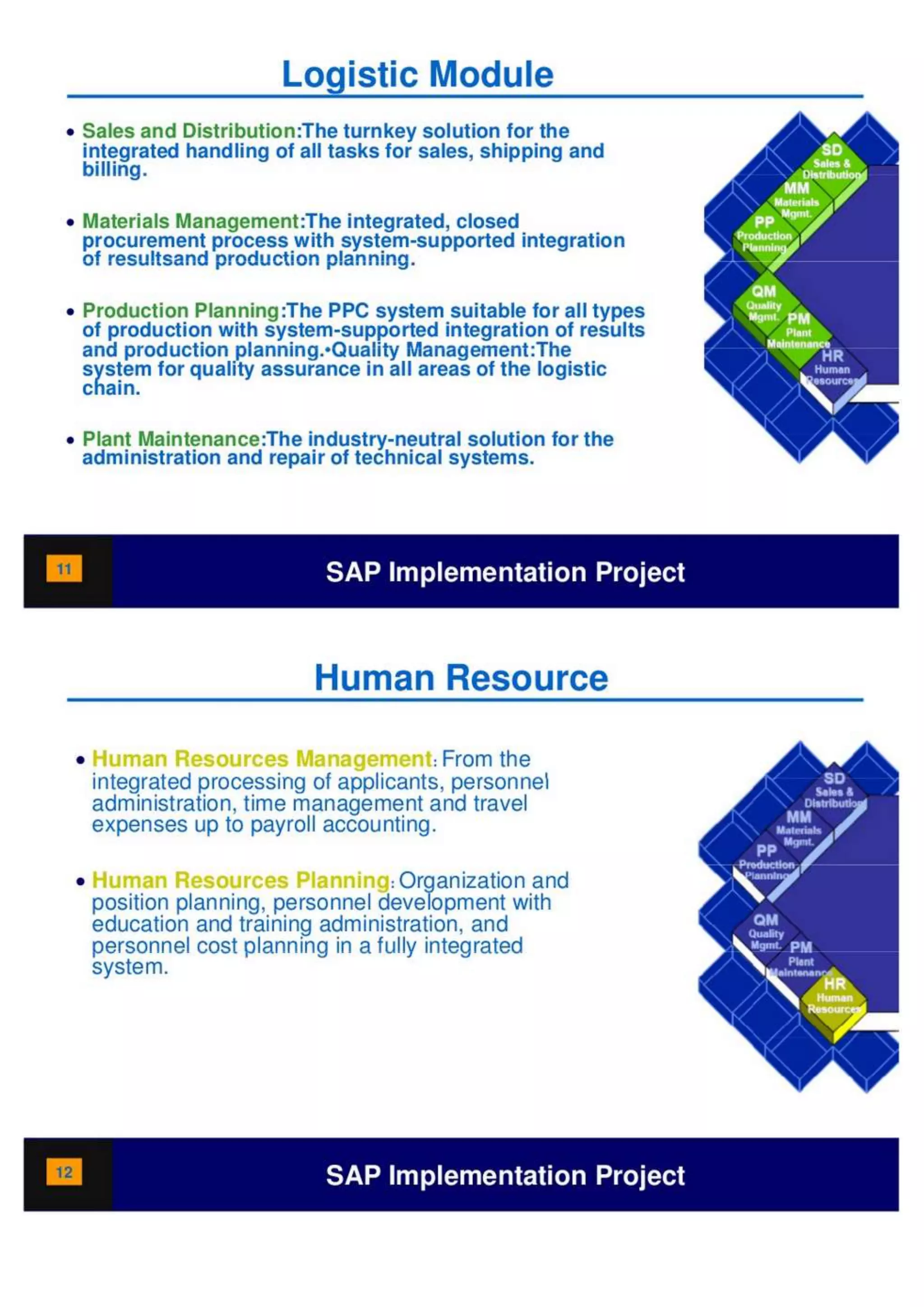 SAP Overview pdf