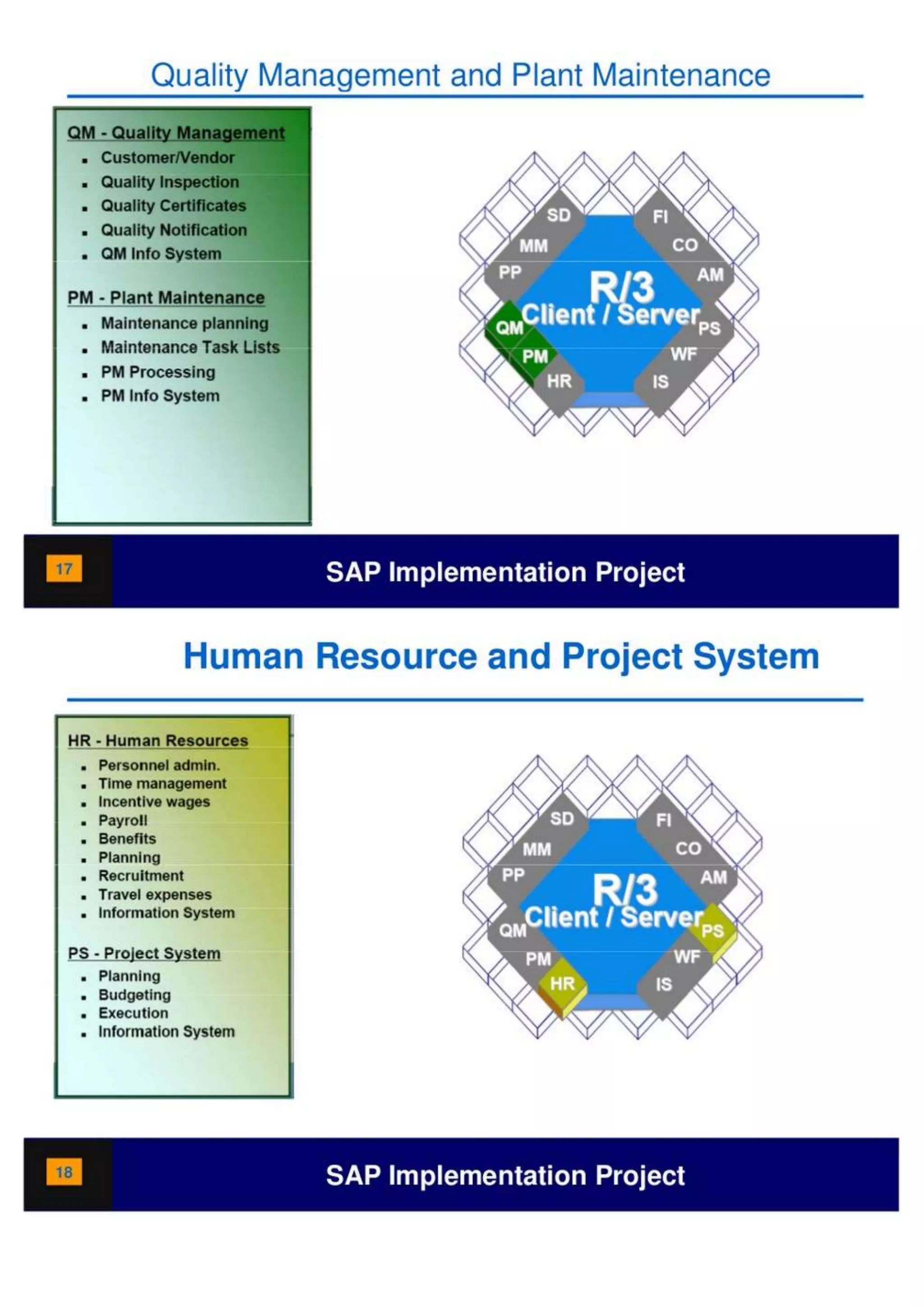 SAP Overview pdf