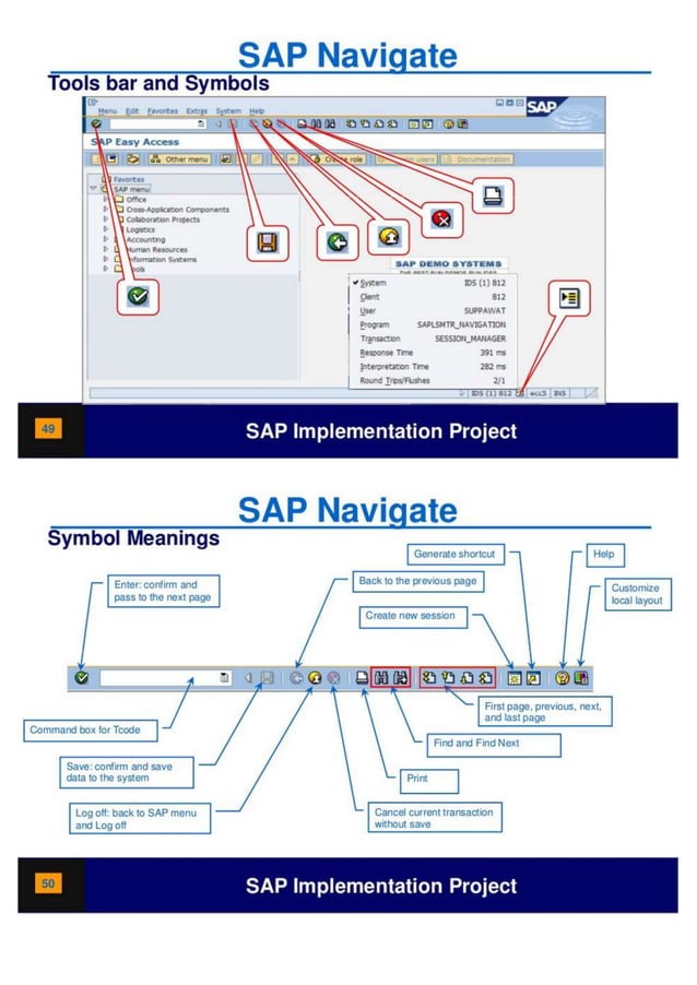 SAP Overview pdf | PDF