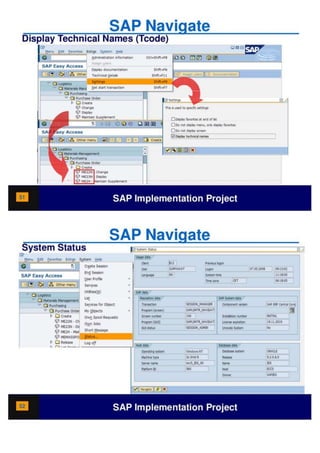SAP Overview pdf | PDF