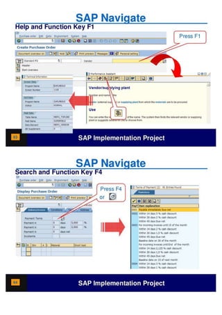 SAP Overview pdf | PDF