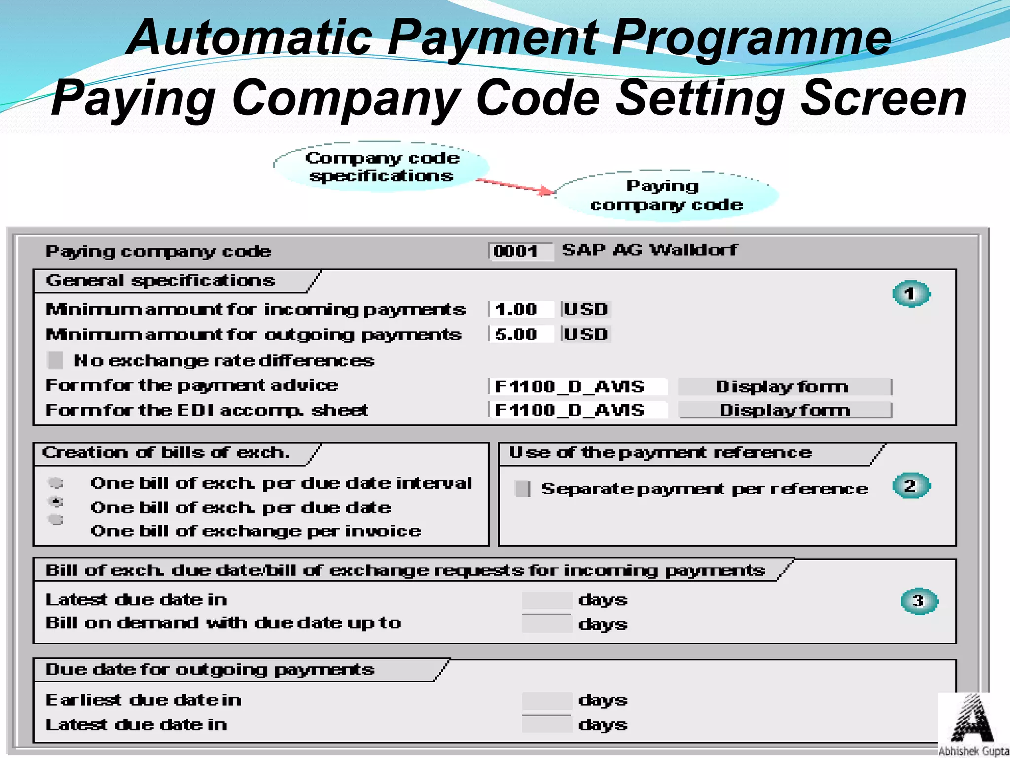 Automatic Payment Programme
Paying Company Code Setting Screen
 