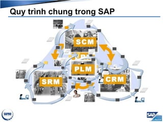 Quy trình chung trong SAP
 