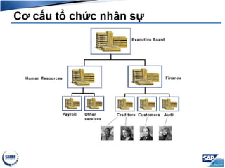 Cơ cấu tổ chức nhân sự
 