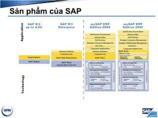 Sản phẩm của SAP
 