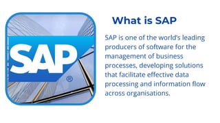 Sap Program Overview SAP Overview | PPTX