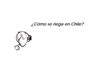¿Cómo se riega en Chile?
 