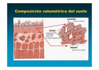 Composición volumétrica del suelo
 
