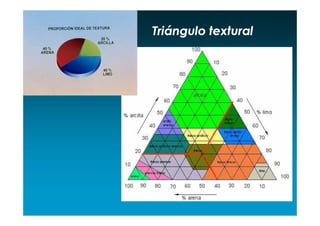 Triángulo textural
 