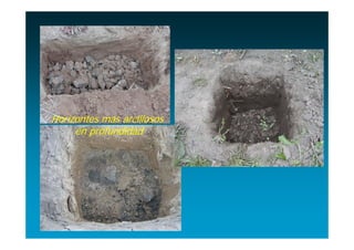 Horizontes más arcillosos
     en profundidad
 