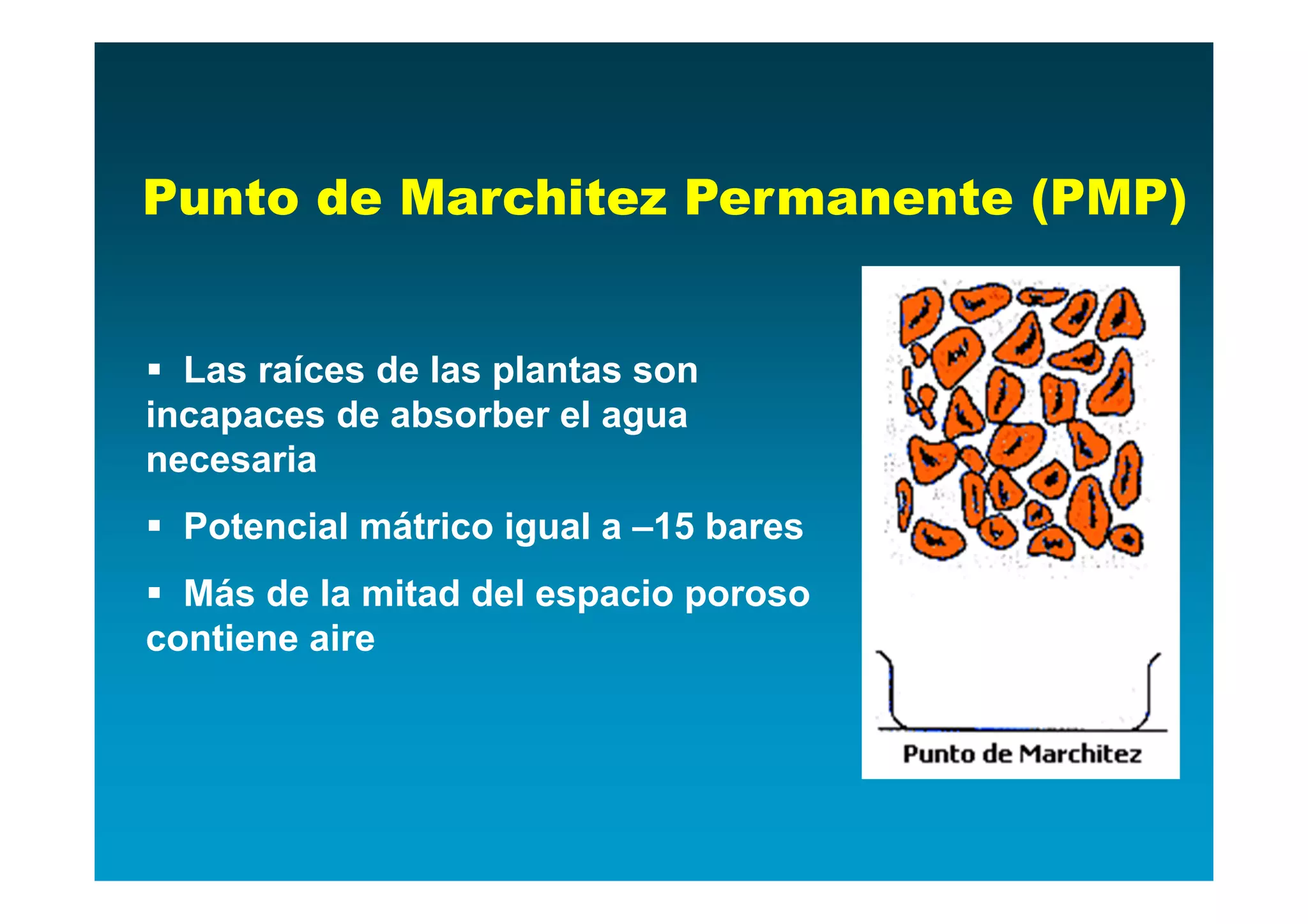 Punto de Marchitez Permanente (PMP)


 Las raíces de las plantas son
incapaces de absorber el agua
necesaria
 Potencial mátrico igual a –15 bares
 Más de la mitad del espacio poroso
contiene aire
 