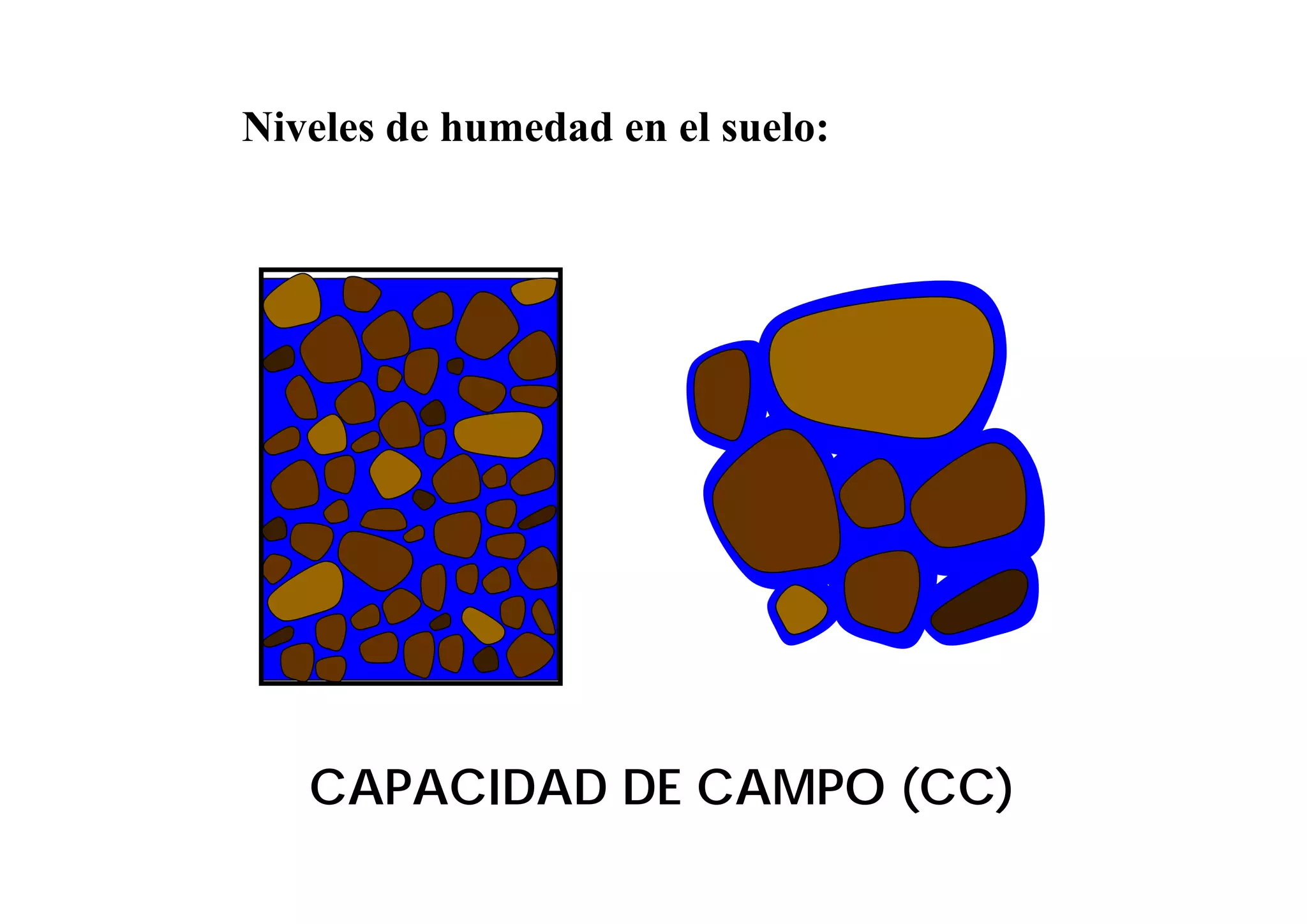 Niveles de humedad en el suelo:




   CAPACIDAD DE CAMPO (CC)
 