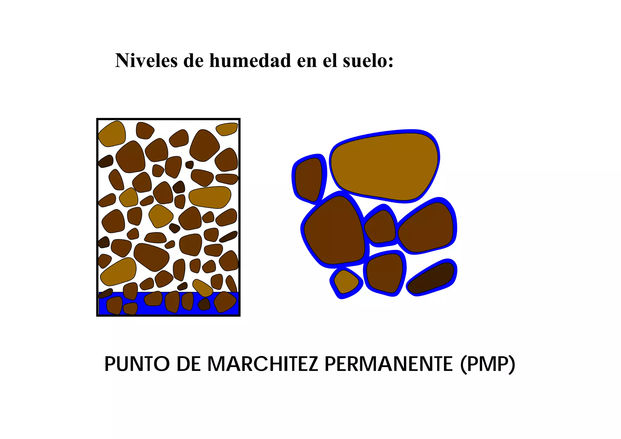 Niveles de humedad en el suelo:




PUNTO DE MARCHITEZ PERMANENTE (PMP)
 