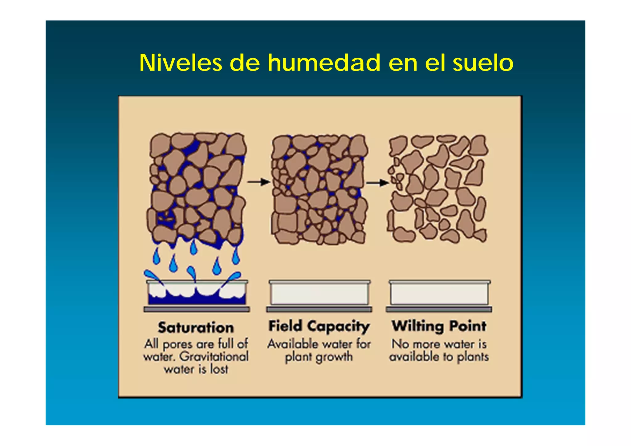 Niveles de humedad en el suelo
 