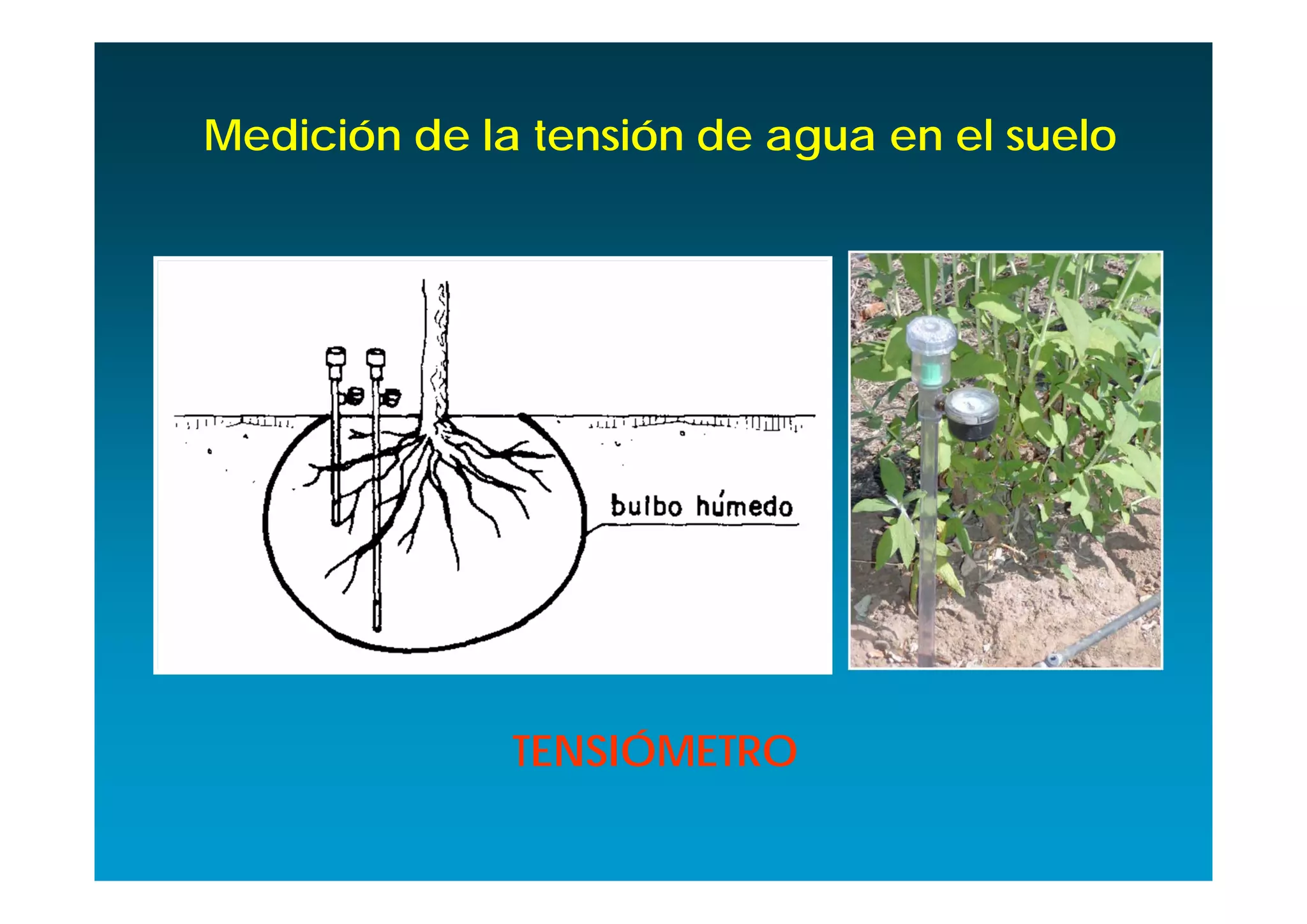 Medición de la tensión de agua en el suelo




              TENSIÓMETRO
 