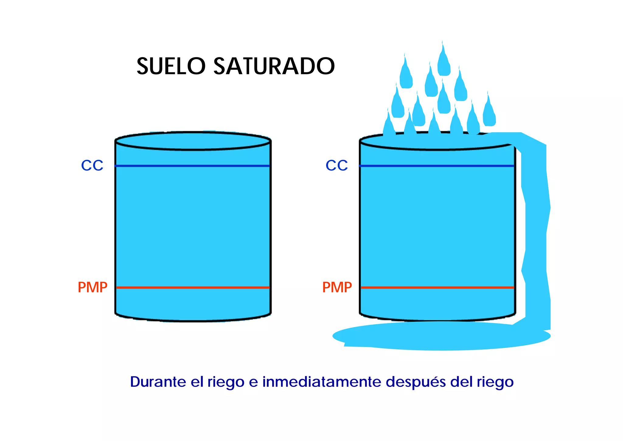 SUELO SATURADO



CC                             CC




PMP                            PMP




      Durante el riego e inmediatamente después del riego
 