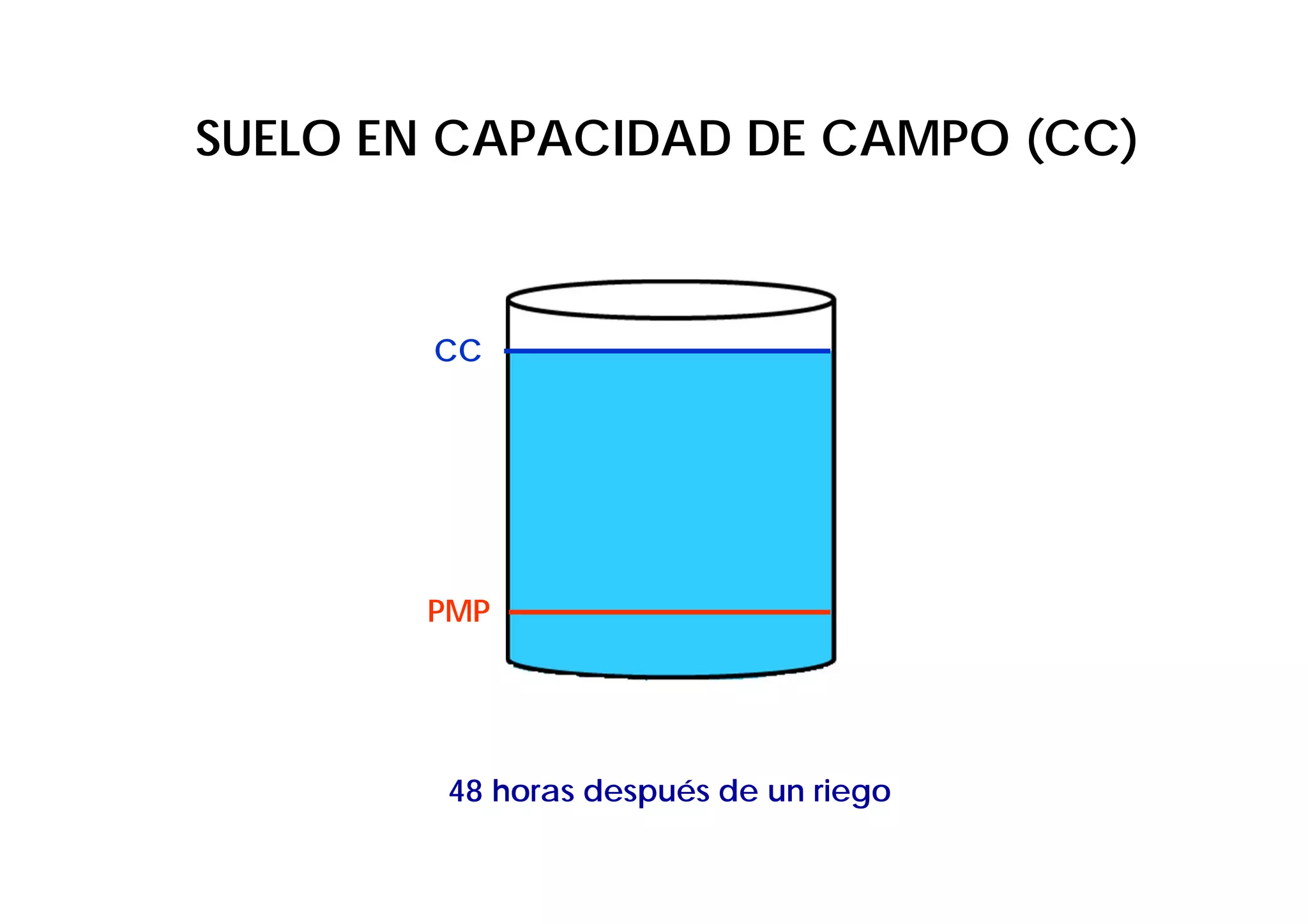 SUELO EN CAPACIDAD DE CAMPO (CC)



        CC




       PMP




        48 horas después de un riego
 