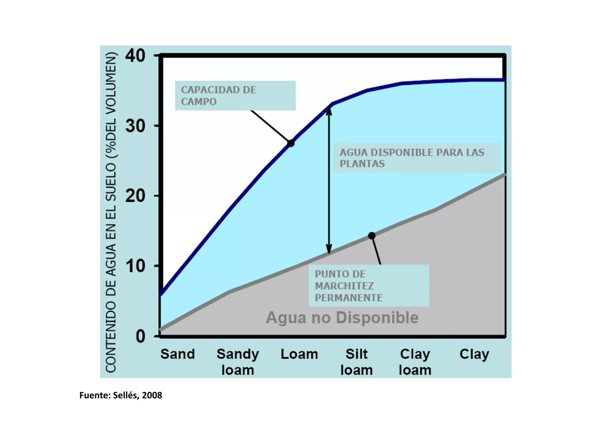 Fuente: Sellés, 2008
 