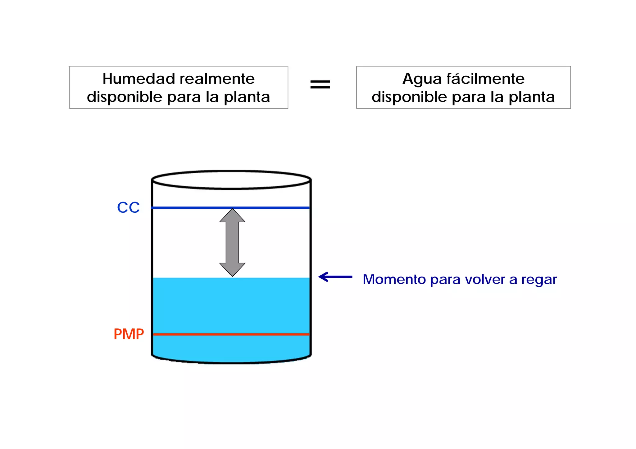 Humedad realmente
disponible para la planta   =        Agua fácilmente
                                 disponible para la planta




    CC



                                Momento para volver a regar



   PMP
 