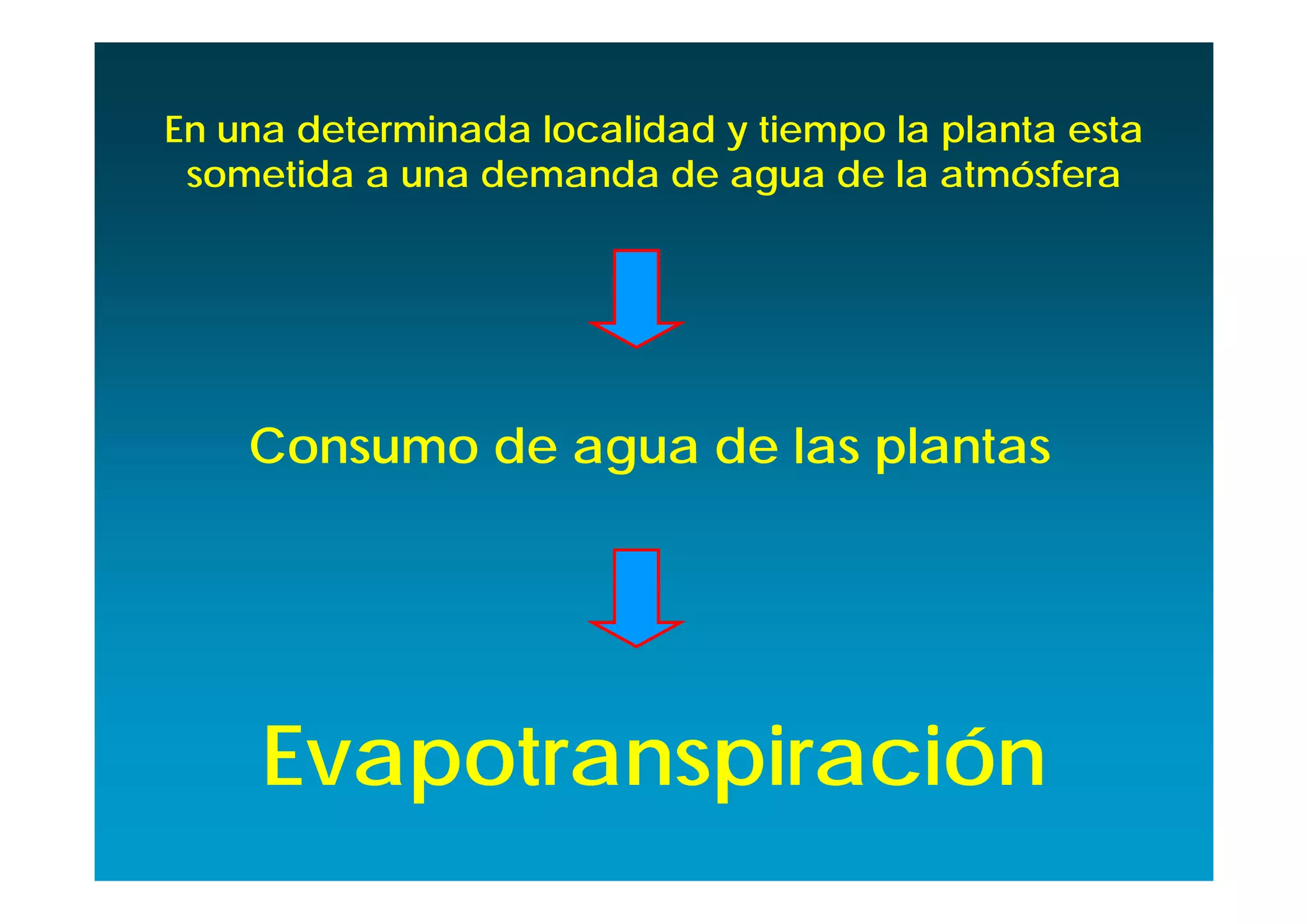 En una determinada localidad y tiempo la planta esta
 sometida a una demanda de agua de la atmósfera




    Consumo de agua de las plantas




     Evapotranspiración
 