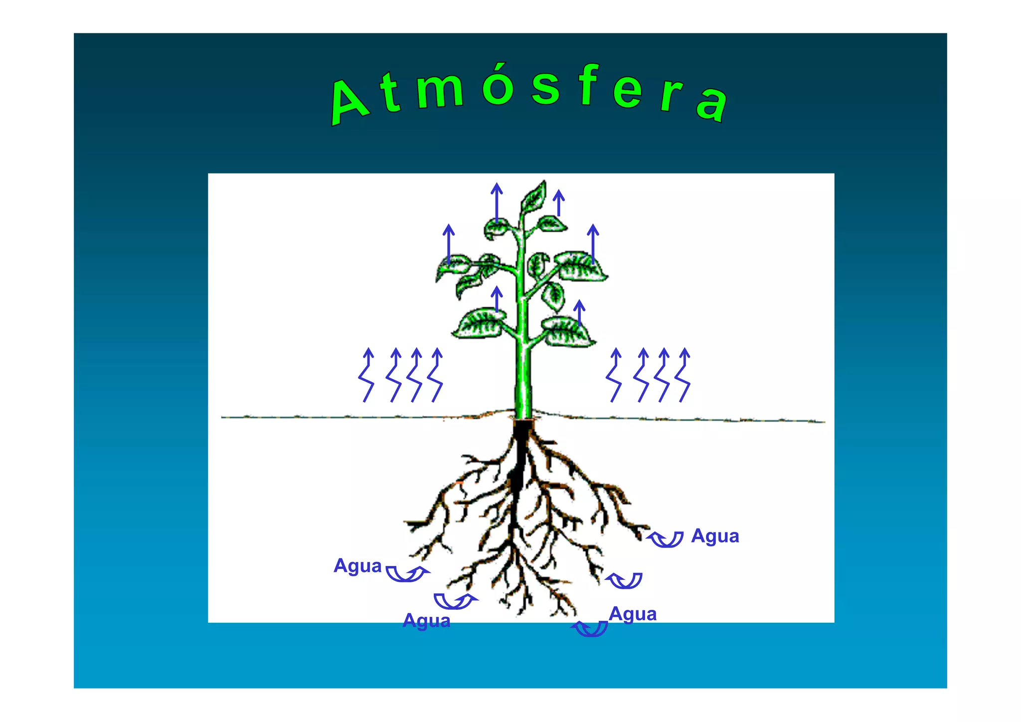 Agua
Agua

       Agua   Agua
 