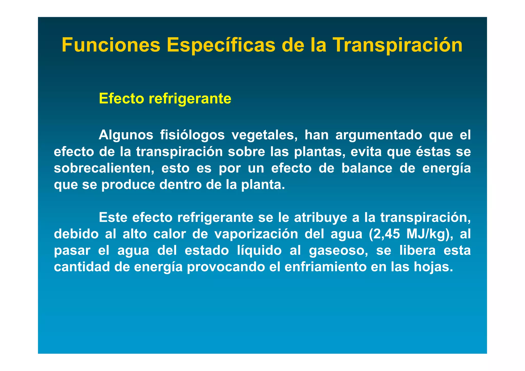 Funciones Específicas de la Transpiración

       Efecto refrigerante

       Algunos fisiólogos vegetales, han argumentado que el
efecto de la transpiración sobre las plantas, evita que éstas se
sobrecalienten, esto es por un efecto de balance de energía
que se produce dentro de la planta.

       Este efecto refrigerante se le atribuye a la transpiración,
debido al alto calor de vaporización del agua (2,45 MJ/kg), al
pasar el agua del estado líquido al gaseoso, se libera esta
cantidad de energía provocando el enfriamiento en las hojas.
 