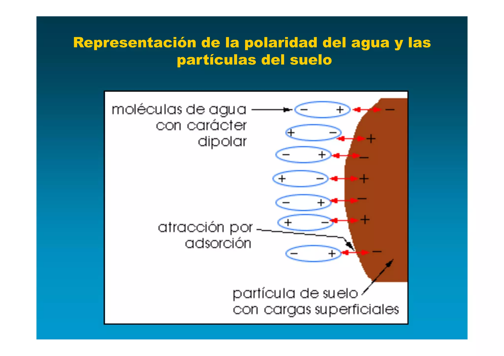 Representación de la polaridad del agua y las
            partículas del suelo
 