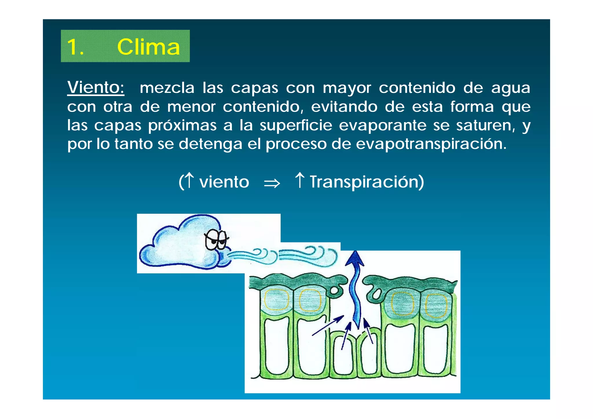 1.    Clima
Viento: mezcla las capas con mayor contenido de agua
con otra de menor contenido, evitando de esta forma que
las capas próximas a la superficie evaporante se saturen, y
por lo tanto se detenga el proceso de evapotranspiración.

              ( viento   Transpiración)
 