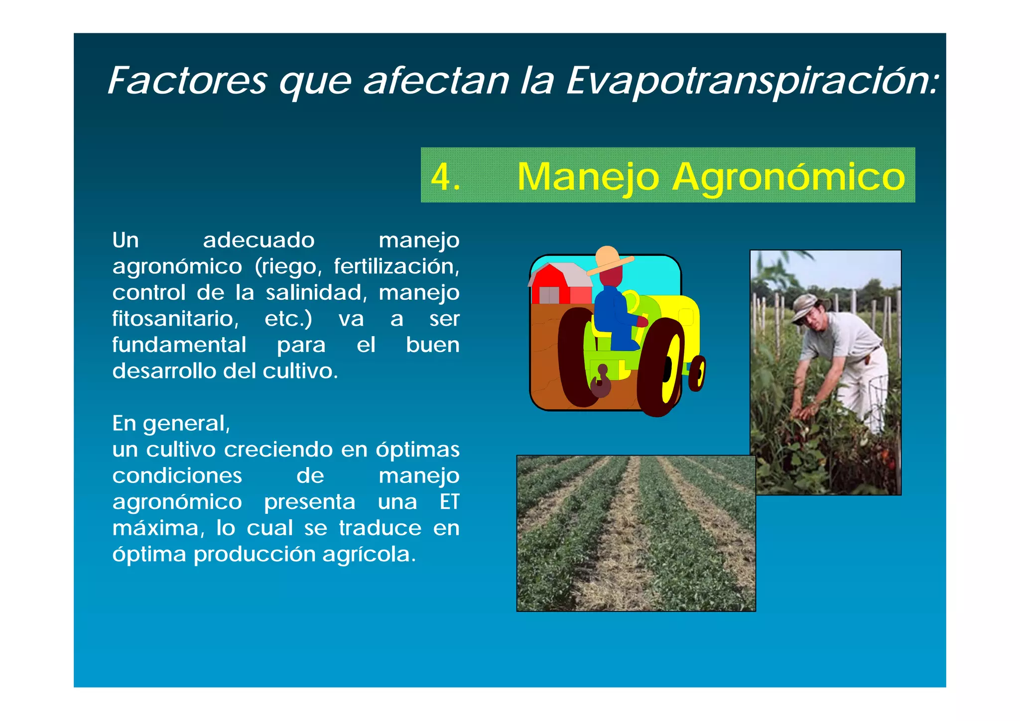 Factores que afectan la Evapotranspiración:

                              4.    Manejo Agronómico
Un        adecuado       manejo
agronómico (riego, fertilización,
control de la salinidad, manejo
fitosanitario, etc.) va a ser
fundamental para el buen
desarrollo del cultivo.

En general,
un cultivo creciendo en óptimas
condiciones      de     manejo
agronómico presenta una ET
máxima, lo cual se traduce en
óptima producción agrícola.
 