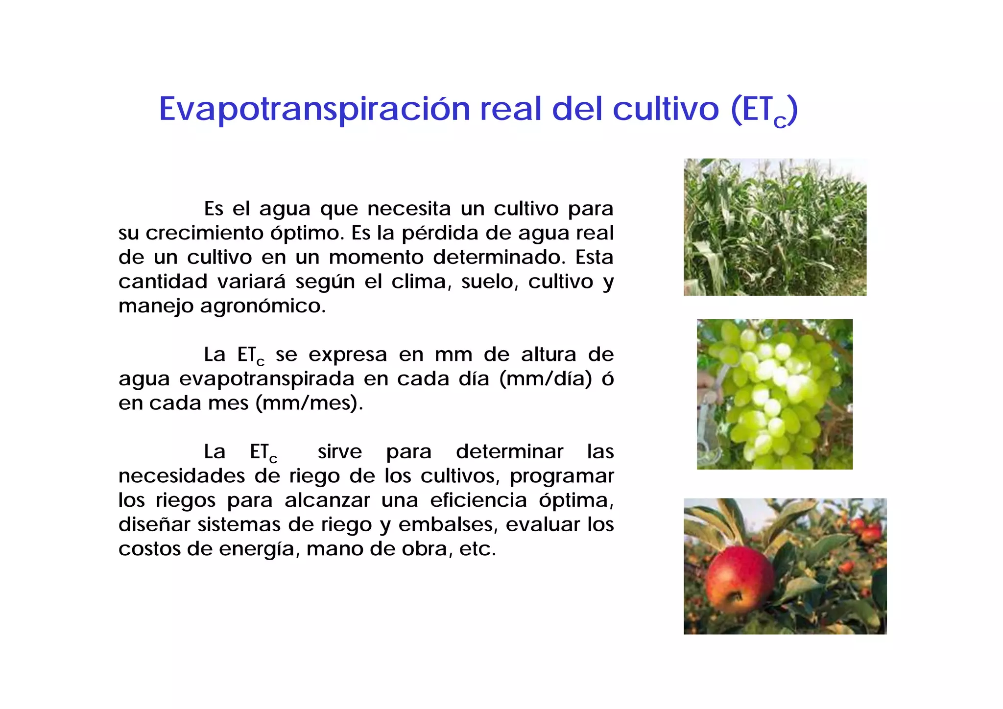 Evapotranspiración real del cultivo (ETc)

        Es el agua que necesita un cultivo para
su crecimiento óptimo. Es la pérdida de agua real
de un cultivo en un momento determinado. Esta
cantidad variará según el clima, suelo, cultivo y
manejo agronómico.

       La ETc se expresa en mm de altura de
agua evapotranspirada en cada día (mm/día) ó
en cada mes (mm/mes).

         La ETc     sirve para determinar las
necesidades de riego de los cultivos, programar
los riegos para alcanzar una eficiencia óptima,
diseñar sistemas de riego y embalses, evaluar los
costos de energía, mano de obra, etc.
 