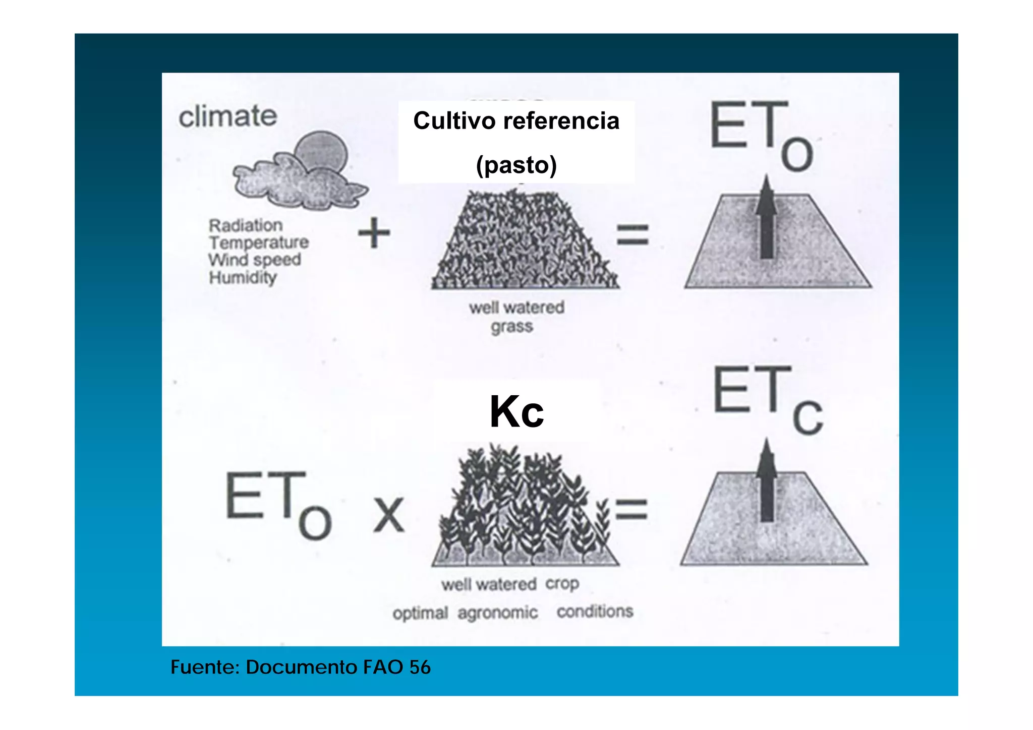 Cultivo referencia
                           (pasto)




                            Kc




Fuente: Documento FAO 56
 