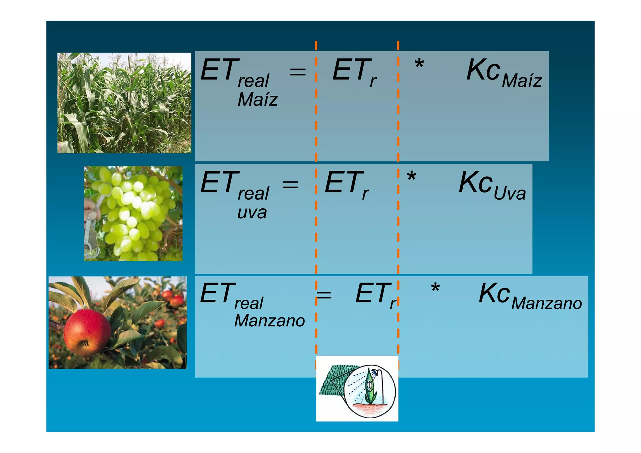 ETreal  ETr         *       Kc Maíz
   Maíz



ETreal  ETr         *       KcUva
   uva



ETreal        ETr       *    Kc Manzano
   Manzano
 