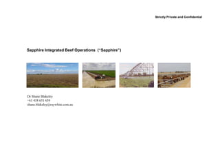 Strictly Private and Confidential
Sapphire Integrated Beef Operations (“Sapphire”)
Dr Shane Blakeley
+61 458 651 659
shane.blakeley@raywhite.com.au
 