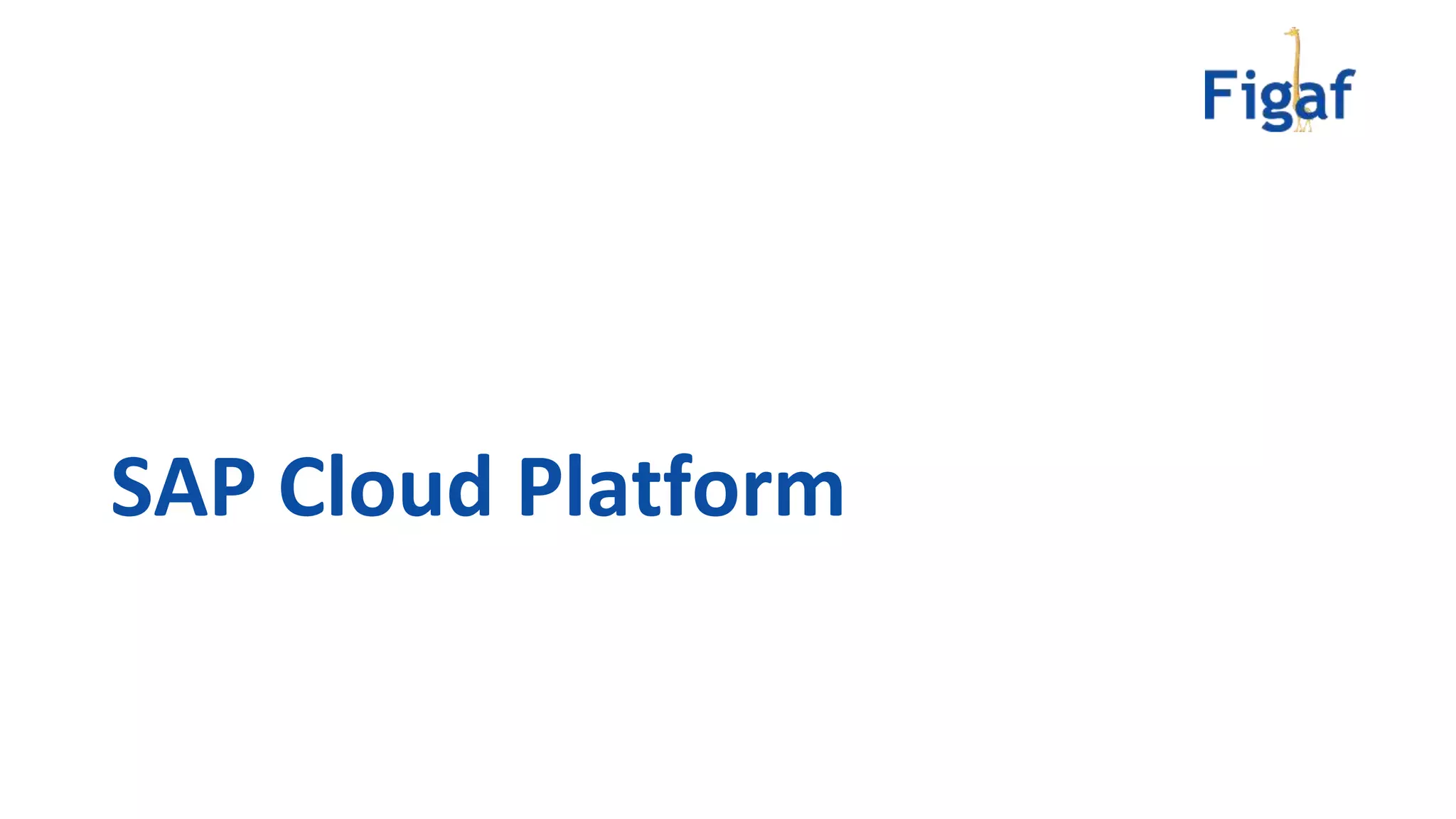 SAP Cloud Platform
 