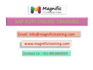 SAP XI/PI ONLINE TRAINING
www.magnifictraining.com
Contact Us : +91-9052666559
Email: info@magnifictraining.com
 