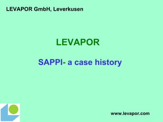 LEVAPOR
SAPPI- a case history
LEVAPOR GmbH, Leverkusen
www.levapor.com
 