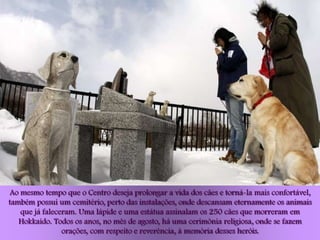 Ao mesmo tempo que o Centro deseja prolongar a vida dos cães e torná-la mais confortável,
também possui um cemitério, perto das instalações, onde descansam eternamente os animais
    que já faleceram. Uma lápide e uma estátua assinalam os 250 cães que morreram em
   Hokkaido. Todos os anos, no mês de agosto, há uma cerimônia religiosa, onde se fazem
                 orações, com respeito e reverência, à memória desses heróis.
 