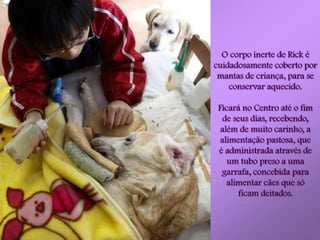 O corpo inerte de Rick é
cuidadosamente coberto por
 mantas de criança, para se
    conservar aquecido.

 Ficará no Centro até o fim
   de seus dias, recebendo,
  além de muito carinho, a
  alimentação pastosa, que
 é administrada através de
    um tubo preso a uma
  garrafa, concebida para
    alimentar cães que só
        ficam deitados.
 
