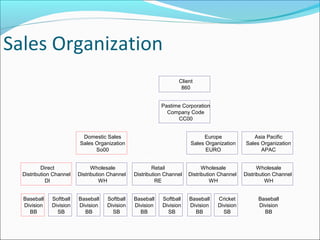 Sales Organization
Baseball
Division
BB
Softball
Division
SB
Direct
Distribution Channel
DI
Baseball
Division
BB
Softball
Division
SB
Wholesale
Distribution Channel
WH
Baseball
Division
BB
Softball
Division
SB
Retail
Distribution Channel
RE
Domestic Sales
Sales Organization
So00
Baseball
Division
BB
Cricket
Division
SB
Wholesale
Distribution Channel
WH
Europe
Sales Organization
EURO
Baseball
Division
BB
Wholesale
Distribution Channel
WH
Asia Pacific
Sales Organization
APAC
Pastime Corporation
Company Code
CC00
Client
860
 