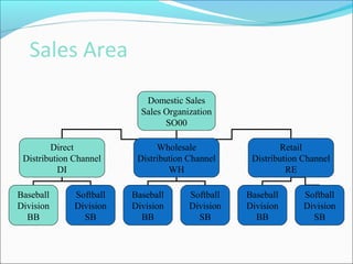 Sales Area
Domestic Sales
Sales Organization
SO00
Direct
Distribution Channel
DI
Wholesale
Distribution Channel
WH
Retail
Distribution Channel
RE
Baseball
Division
BB
Softball
Division
SB
Baseball
Division
BB
Softball
Division
SB
Baseball
Division
BB
Softball
Division
SB
 