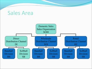 Sales Area
Domestic Sales
Sales Organization
SO00
Direct
Distribution Channel
DI
Wholesale
Distribution Channel
WH
Retail
Distribution Channel
RE
Baseball
Division
BB
Softball
Division
SB
Baseball
Division
BB
Softball
Division
SB
Baseball
Division
BB
Softball
Division
SB
 