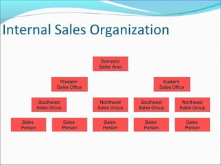 Internal Sales Organization
DomesticDomestic
Sales AreaSales Area
WesternWestern
Sales OfficeSales Office
EasternEastern
Sales OfficeSales Office
SouthwestSouthwest
Sales GroupSales Group
NorthwestNorthwest
Sales GroupSales Group
SalesSales
PersonPerson
SalesSales
PersonPerson
SalesSales
PersonPerson
SoutheastSoutheast
Sales GroupSales Group
NortheastNortheast
Sales GroupSales Group
SalesSales
PersonPerson
SalesSales
PersonPerson
 