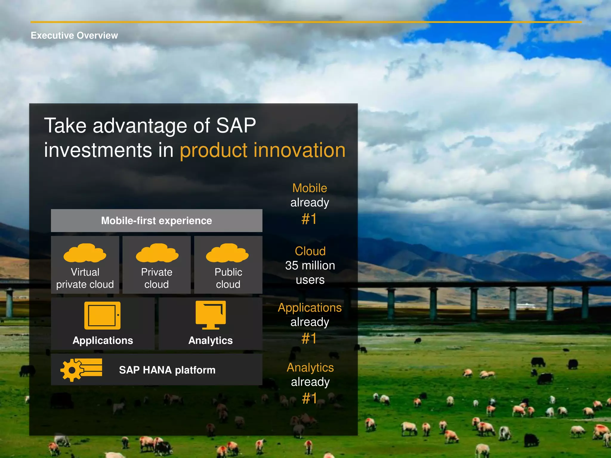 Executive Overview
Take advantage of SAP
investments in product innovation
Applications
already
#1
Analytics
already
#1
Mobile
already
#1
Cloud
35 million
users
Analytics
Mobile-first experience
Applications
SAP HANA platform
Virtual
private cloud
Private
cloud
Public
cloud
 