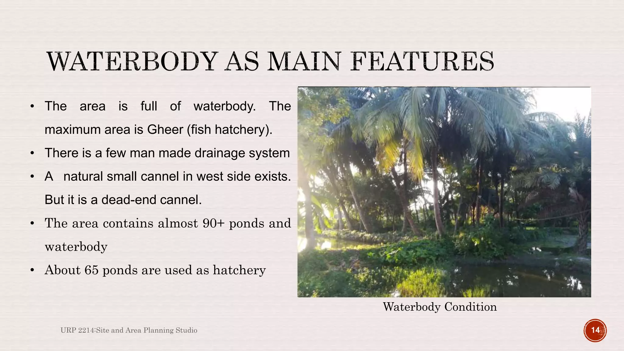 URP 2214:Site and Area Planning Studio 14
• The area is full of waterbody. The
maximum area is Gheer (fish hatchery).
• There is a few man made drainage system
• A natural small cannel in west side exists.
But it is a dead-end cannel.
• The area contains almost 90+ ponds and
waterbody
• About 65 ponds are used as hatchery
Waterbody Condition
 