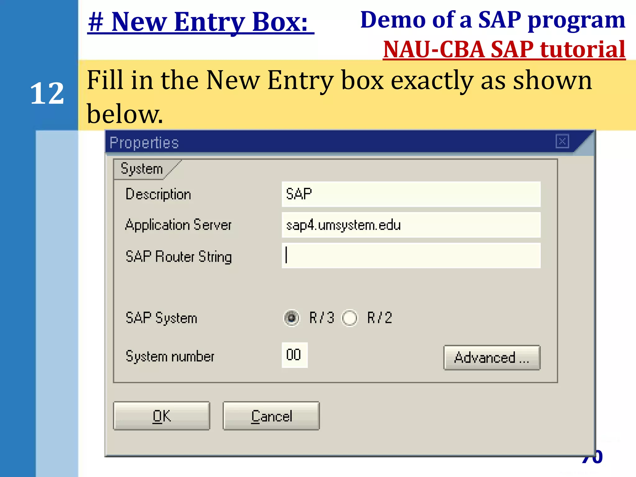 70
12
Demo of a SAP program
NAU-CBA SAP tutorial
Fill in the New Entry box exactly as shown
below.
# New Entry Box:
 