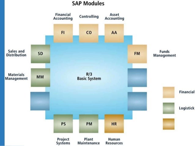 sap for beginners sap for beginners